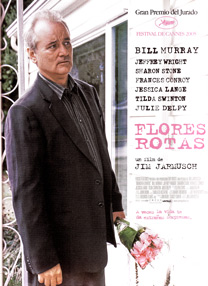 Flores rotas