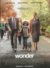 Wonder